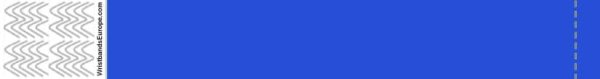 Bracelet Tyvek bleu