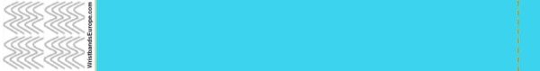 Plain Tyvek Sky Blue