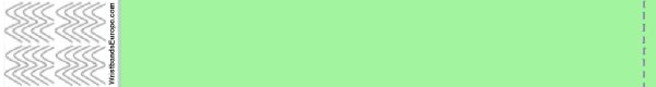 Tyvek Vert Menthe