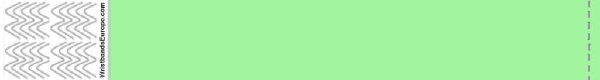 Tyvek uni vert menthe